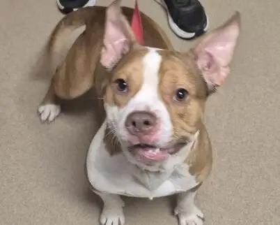 Mouth