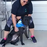 Volunteer Wtih Black Dog At Farmers Market