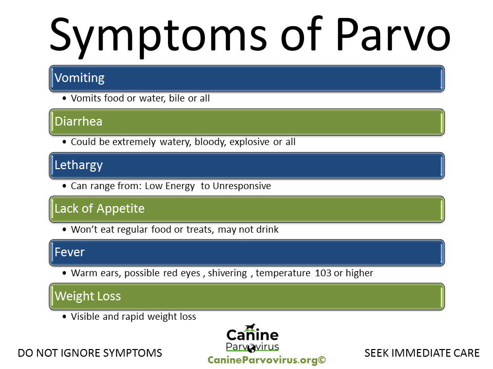 do dogs always have diarrhea with parvo